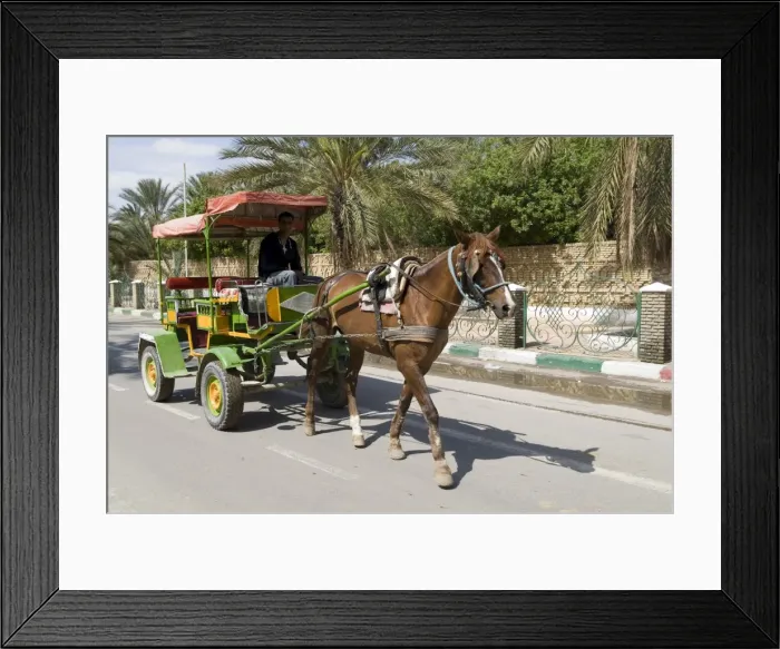 Framed Print : Horse and carriage Framed Print : Horse and carriage
