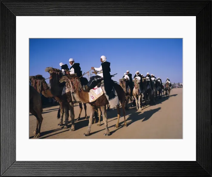 Framed Print : Meharistes (camel riders) Tataouine Oasis Framed Print : Meharistes (camel riders) Tataouine Oasis
