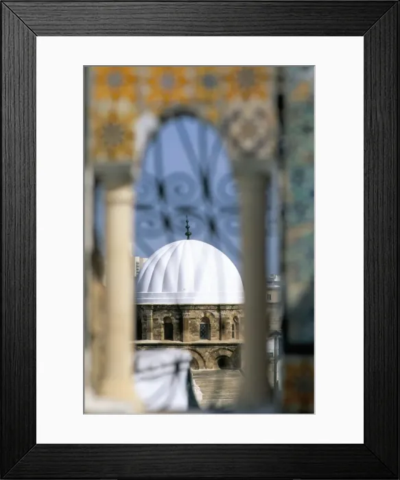 Framed Print : View from the terrace of the Palais d Orient Framed Print : View from the terrace of the Palais d Orient