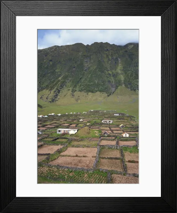 Framed Print : Stone walls divide potato patches Framed Print : Stone walls divide potato patches