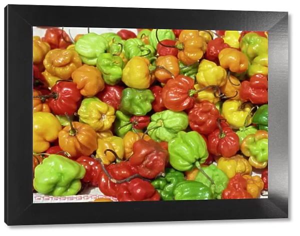 Close-up of peppers for sale on a food stall