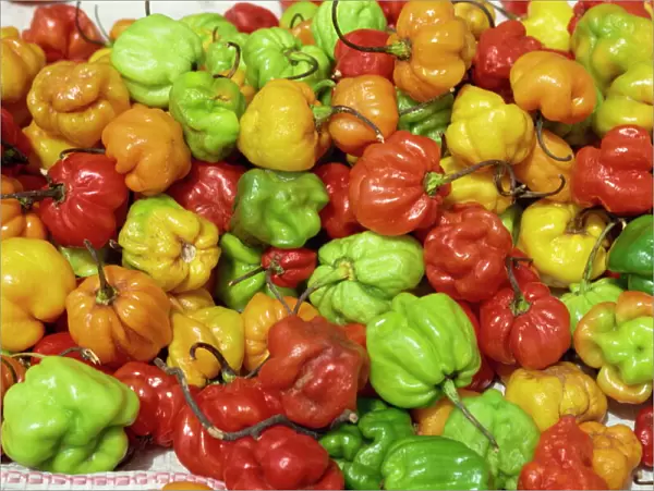 Close-up of peppers for sale on a food stall