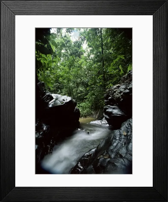 Framed Print : Stream near Blanchisseuse Beach Framed Print : Stream near Blanchisseuse Beach