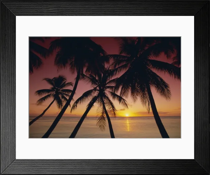 Framed Print : Palm tree silhouettes at Pigeon Point Framed Print : Palm tree silhouettes at Pigeon Point