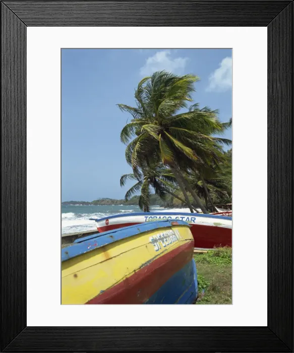 Framed Print : Kendal, Tobago Framed Print : Kendal, Tobago
