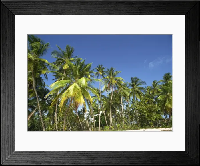 Framed Print : Pigeon Point Framed Print : Pigeon Point