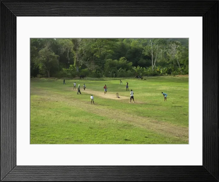Framed Print : Playing cricket Framed Print : Playing cricket