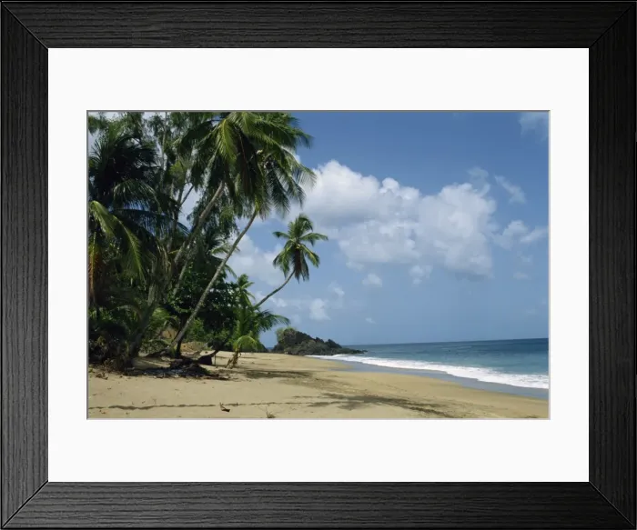 Framed Print : Turtle Beach Framed Print : Turtle Beach