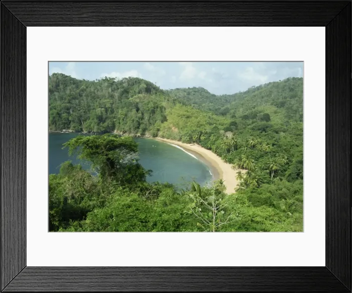 Framed Print : Englishmans Bay Framed Print : Englishmans Bay