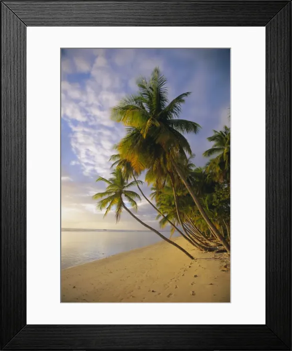 Framed Print : Palm trees and beach Framed Print : Palm trees and beach