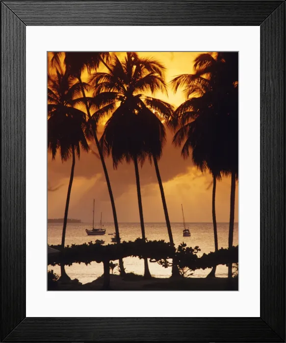 Framed Print : Mount Irvine Bay Framed Print : Mount Irvine Bay