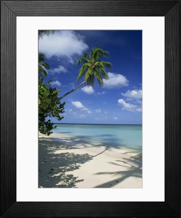 Framed Print : Pigeon Point Framed Print : Pigeon Point