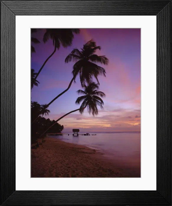 Framed Print : Pigeon Point Framed Print : Pigeon Point