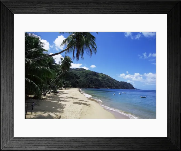 Framed Print : Castara Bay Framed Print : Castara Bay