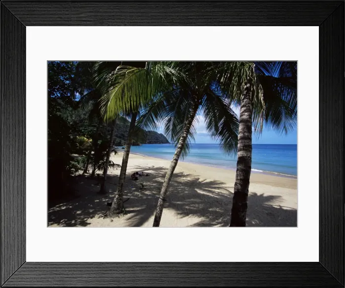 Framed Print : Castara Bay Framed Print : Castara Bay