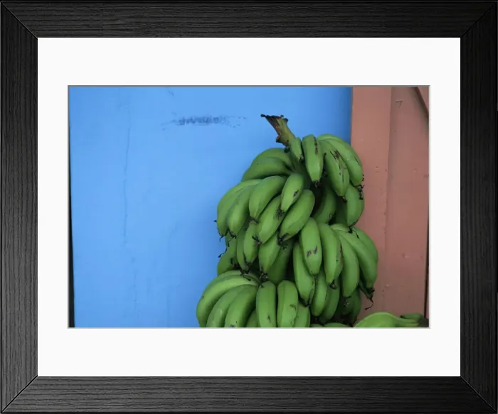 Framed Print : Unripened bananas Framed Print : Unripened bananas