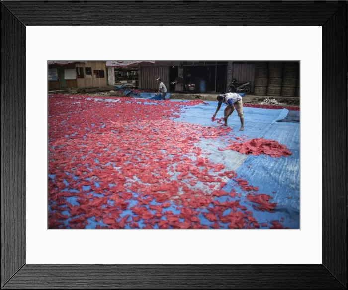 Framed Print : Krupuk (Kroepoek) production, Bukittinggi, West Sumatra, Indonesia, Southeast Asia, Asia Framed Print : Krupuk (Kroepoek) production, Bukittinggi, West Sumatra, Indonesia, Southeast Asia, Asia