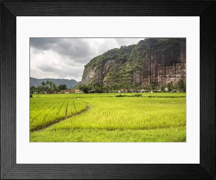Framed Print : Rice paddy fields and cliffs in the Harau Valley, Bukittinggi, West Sumatra, Indonesia Framed Print : Rice paddy fields and cliffs in the Harau Valley, Bukittinggi, West Sumatra, Indonesia