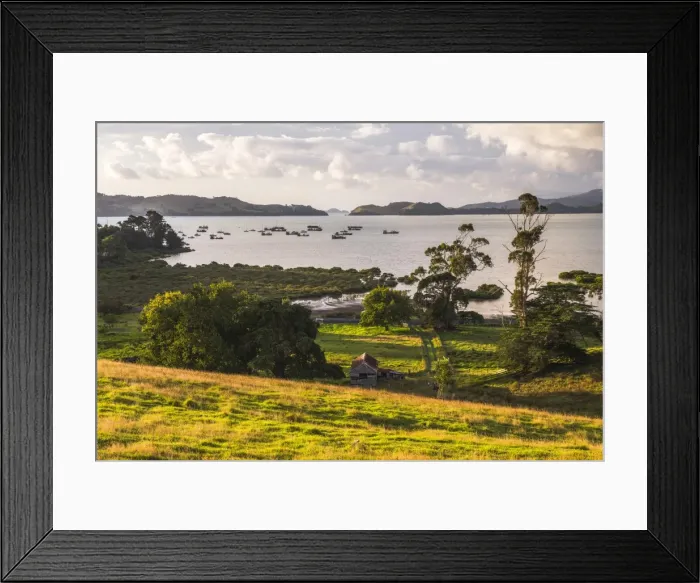 Framed Print : Countryside at Coromandel Town, Coromandel Peninsula, North Island, New Zealand, Pacific Framed Print : Countryside at Coromandel Town, Coromandel Peninsula, North Island, New Zealand, Pacific
