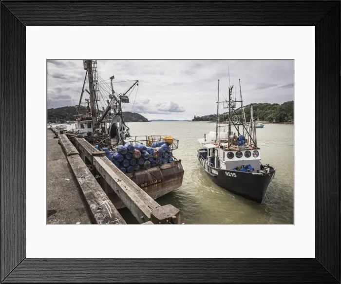 Framed Print : Fishing boat in Mangonui Harbour, Northland Region, North Island, New Zealand, Pacific Framed Print : Fishing boat in Mangonui Harbour, Northland Region, North Island, New Zealand, Pacific