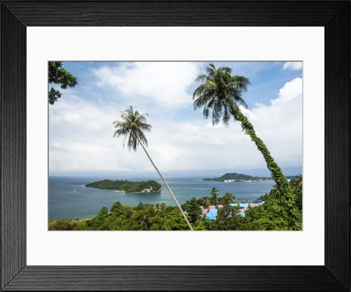 Framed Print : Palm tree landscape near Iboih, Pulau Weh Island, Aceh Province, Sumatra, Indonesia Framed Print : Palm tree landscape near Iboih, Pulau Weh Island, Aceh Province, Sumatra, Indonesia