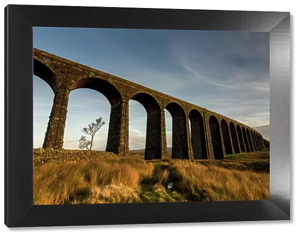 Ribblehead Viaduct, sunset, Yorkshire Dales National Park, Yorkshire, England, United Kingdom