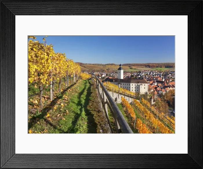 Framed Print : Schloss Horneck Palace on the Neckar River, Gundelsheim, Baden-Wurttemberg, Germany Framed Print : Schloss Horneck Palace on the Neckar River, Gundelsheim, Baden-Wurttemberg, Germany