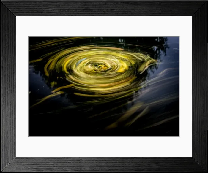 Framed Print : Leaf trails, Leeds Manchester Canal, England, United Kingdom, Europe Framed Print : Leaf trails, Leeds Manchester Canal, England, United Kingdom, Europe