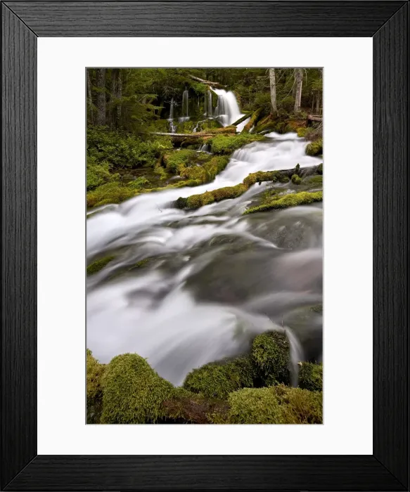 Framed Print : Big Spring Creek Falls, Gifford Pinchot National Forest, Washington, United States of America Framed Print : Big Spring Creek Falls, Gifford Pinchot National Forest, Washington, United States of America