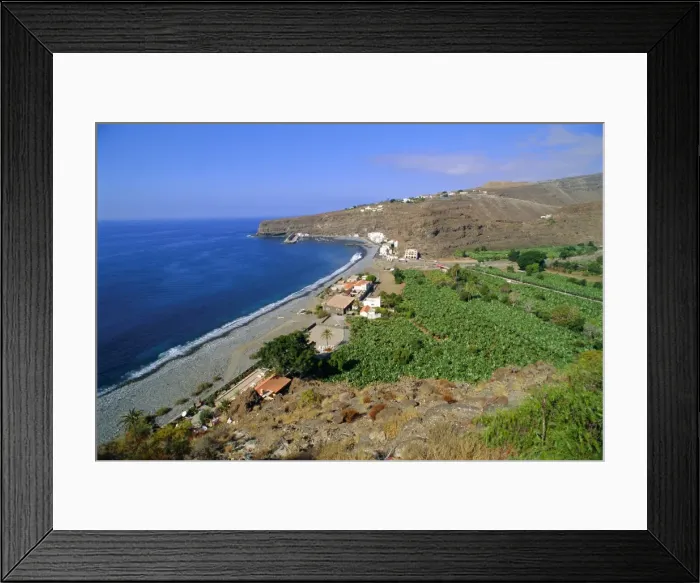 Framed Print : Banana Plantations Framed Print : Banana Plantations