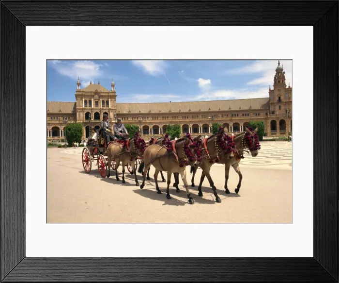 Framed Print : Horses and trap in the Plaza de Espana Framed Print : Horses and trap in the Plaza de Espana