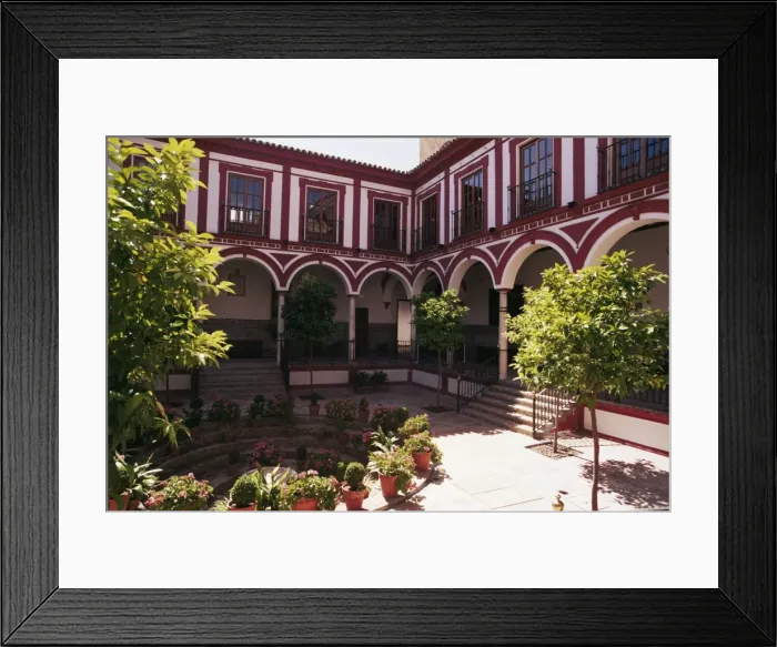 Framed Print : Hospital de los Venerables Framed Print : Hospital de los Venerables