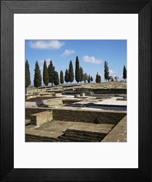 Framed Print : Roman Italica Framed Print : Roman Italica