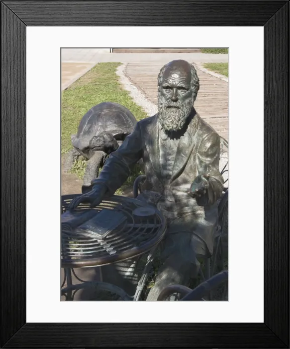 Framed Print : Sculpture of Darwin Framed Print : Sculpture of Darwin