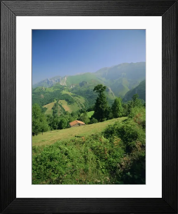 Framed Print : Sierra Dobros Framed Print : Sierra Dobros