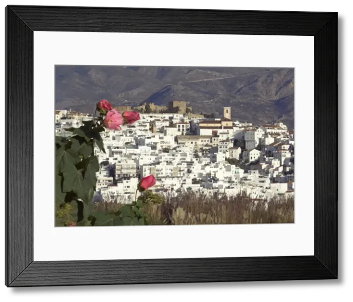 Framed Print : Salobrena, Granada province Framed Print : Salobrena, Granada province