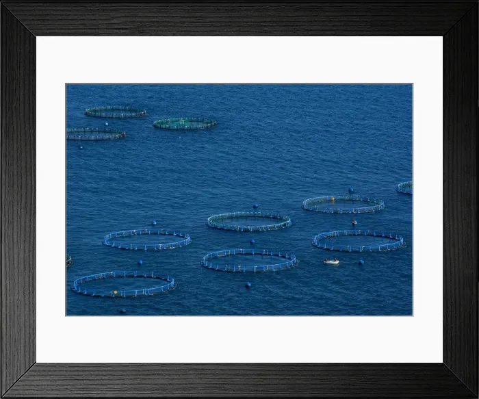 Framed Print : Fish farm, Costa Aguilera Framed Print : Fish farm, Costa Aguilera