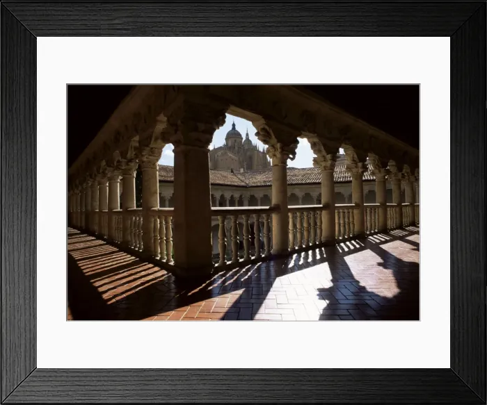 Framed Print : Cathedral viewed from the cloisters of Las Duenas Convent Framed Print : Cathedral viewed from the cloisters of Las Duenas Convent