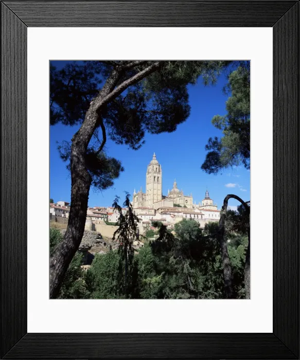 Framed Print : The cathedral framed by pine trees Framed Print : The cathedral framed by pine trees