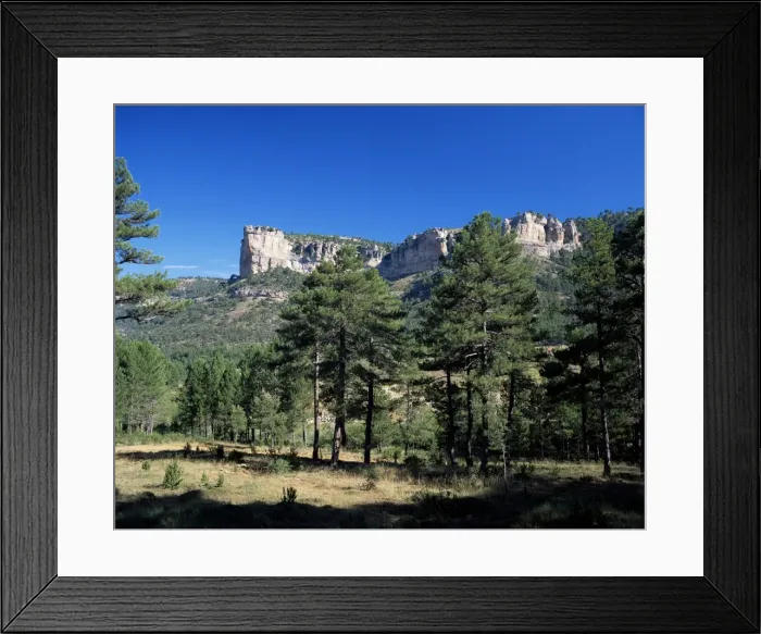 Framed Print : Pine forest and cliffs above the Jucar Gorge Framed Print : Pine forest and cliffs above the Jucar Gorge