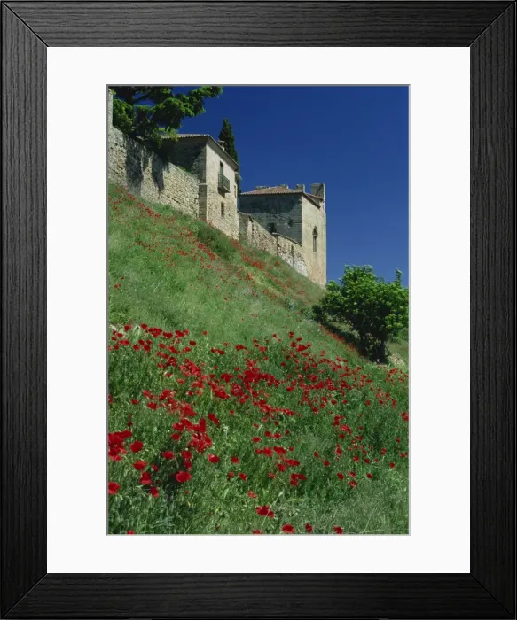 Framed Print : Poppies on hillside below the town Framed Print : Poppies on hillside below the town