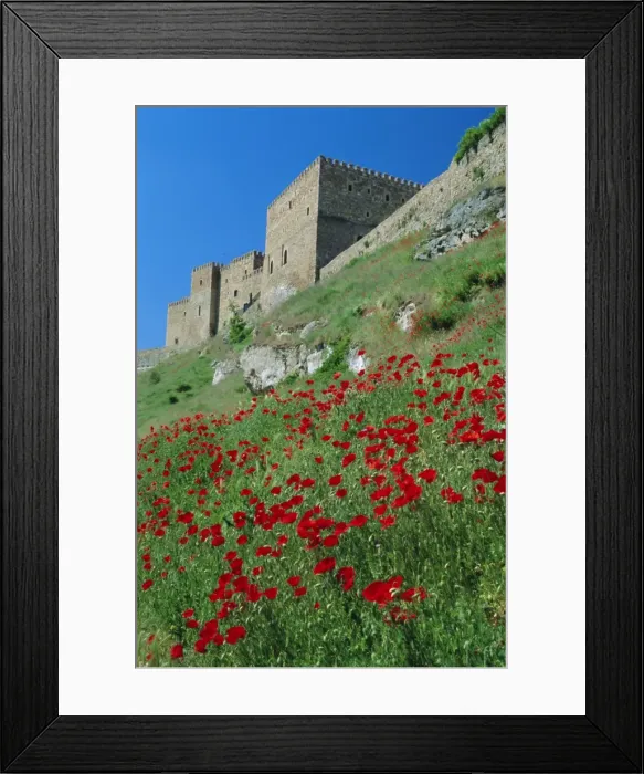Framed Print : Poppies on hillside beneath the castle (now a Parador) Framed Print : Poppies on hillside beneath the castle (now a Parador)