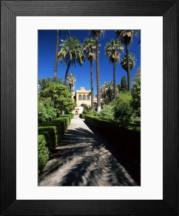 Framed Print : The gardens of the Reales Alcazares (Alcazar) Framed Print : The gardens of the Reales Alcazares (Alcazar)