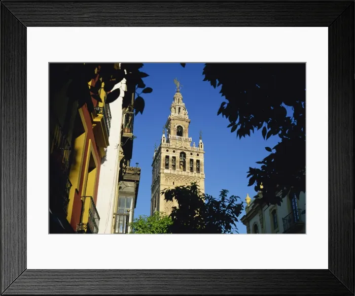 Framed Print : The Giralda framed by trees Framed Print : The Giralda framed by trees