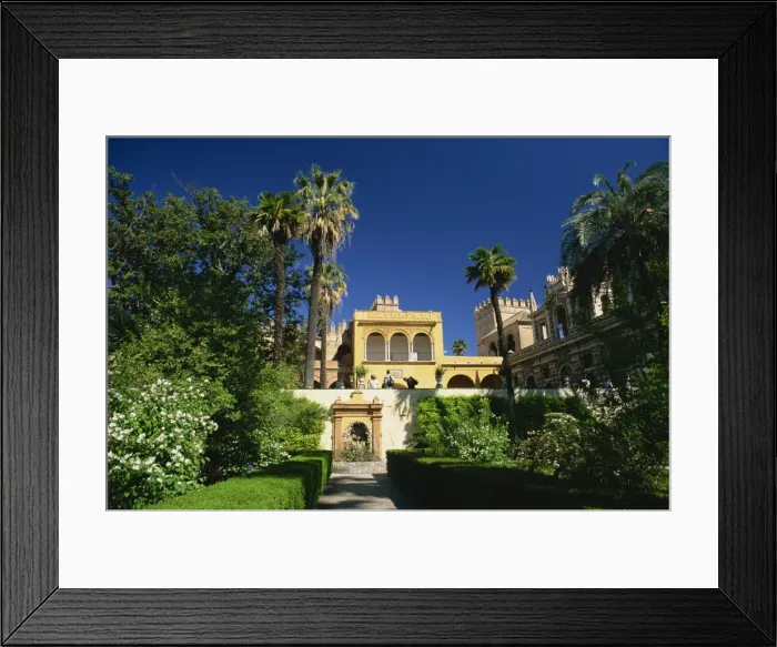 Framed Print : The gardens of the Reales Alcazares Framed Print : The gardens of the Reales Alcazares