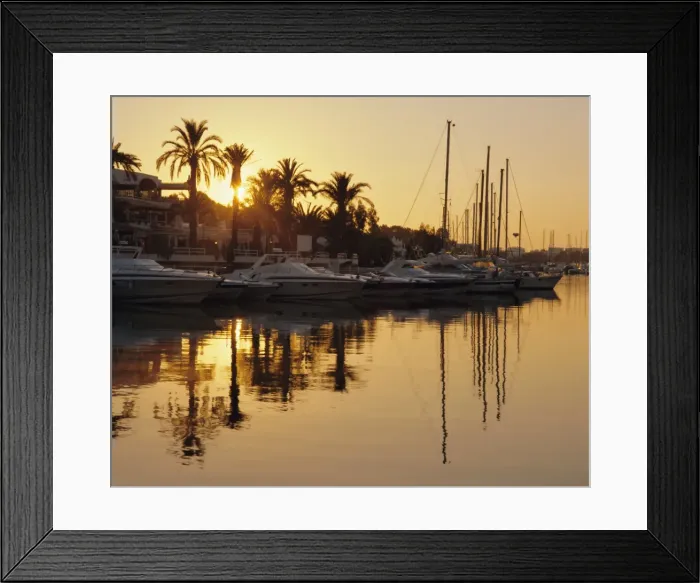 Framed Print : The new marina Framed Print : The new marina