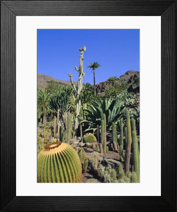 Framed Print : Palmitos Park near Maspalomas Framed Print : Palmitos Park near Maspalomas
