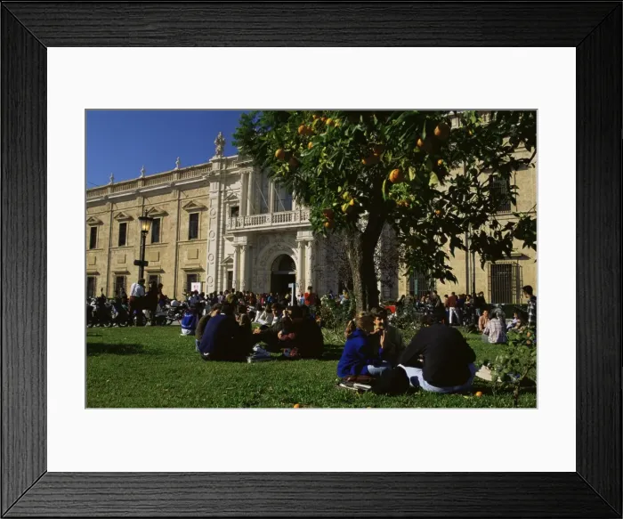 Framed Print : Sevilla University Framed Print : Sevilla University