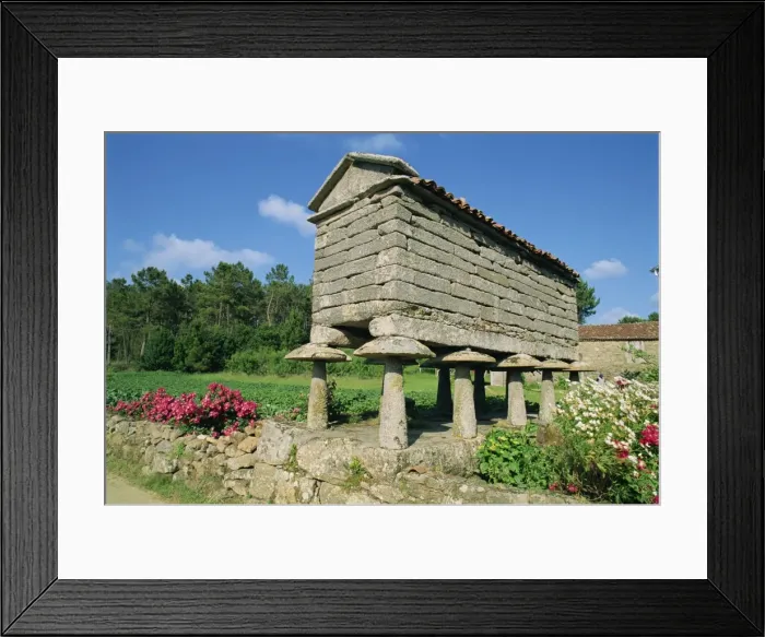 Framed Print : A galego horrero Framed Print : A galego horrero