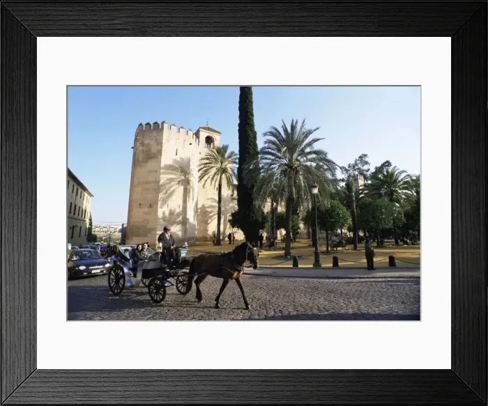 Framed Print : Alcazar de los Reyes Christianos Framed Print : Alcazar de los Reyes Christianos